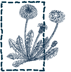 Ako efekt�vne predch�dza� a lie�i� chr�pku: vyu�itie produktov z na�ej ponuky (copy)